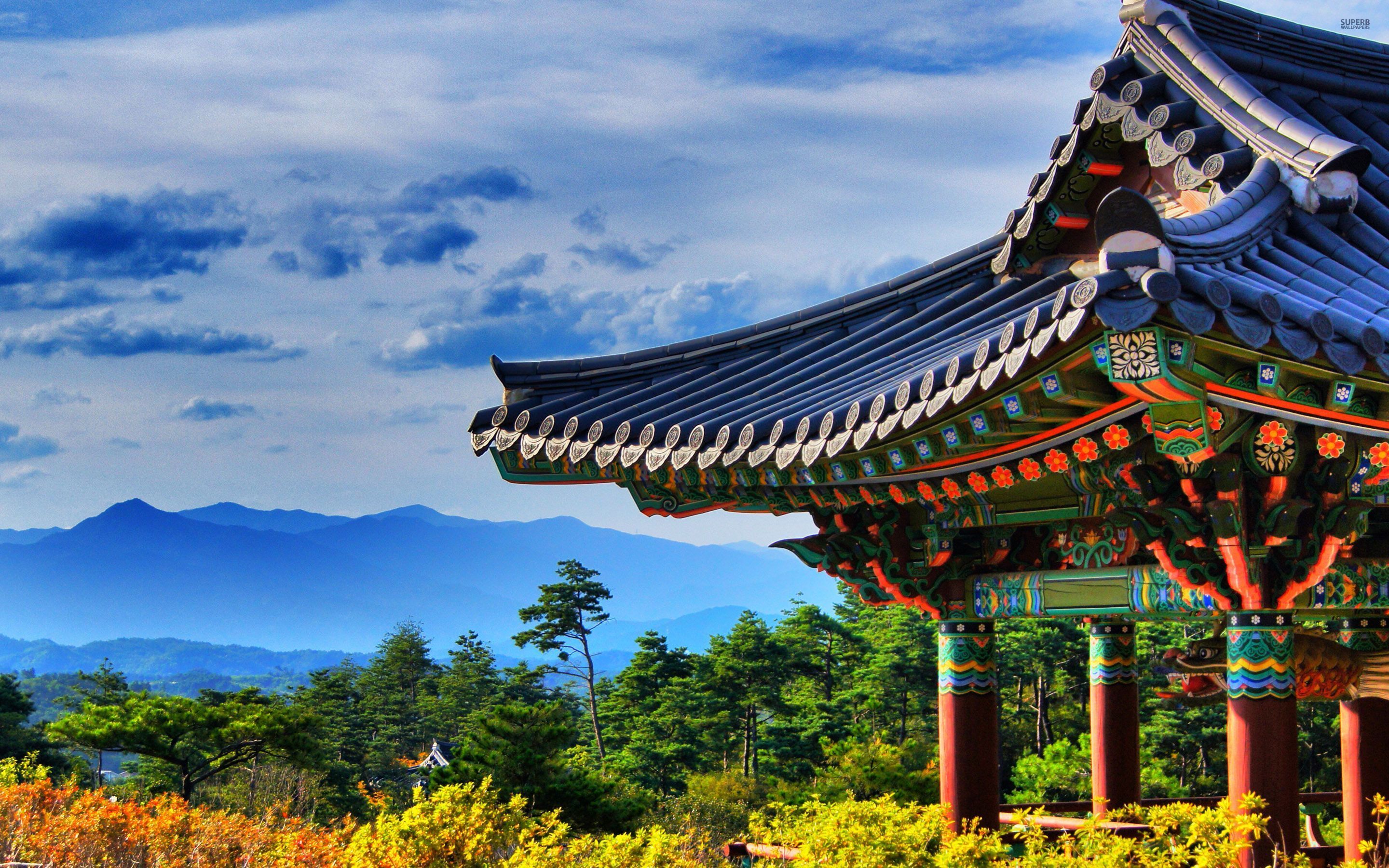 travel shop korea